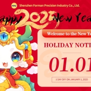 2025 New Year's Holiday