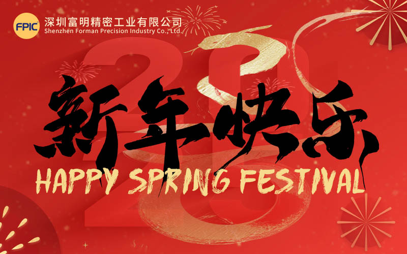 2025 Spring Festival